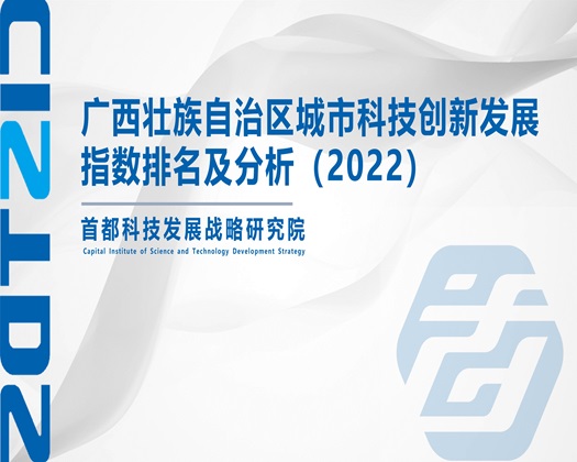 午夜男女爽歪歪免费视频【成果发布】广西壮族自治区城市科技创新发展指数排名及分析（2022）